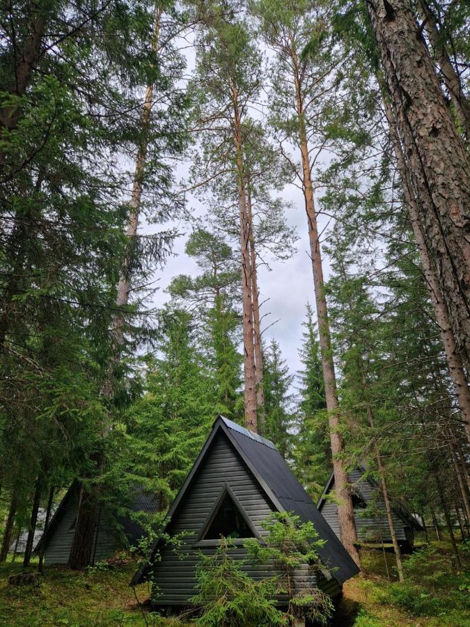 Liivakortsi Kaemping Hotel Romeda Buitenkant foto